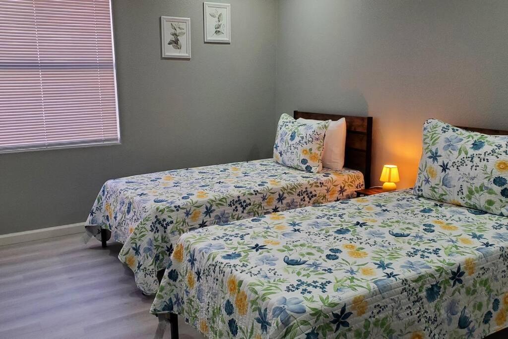 Comfortable Family Holiday home