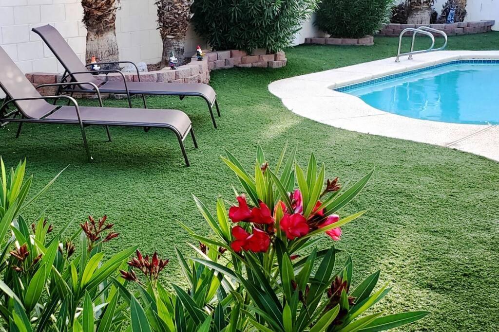 Comfortable Family Holiday home *